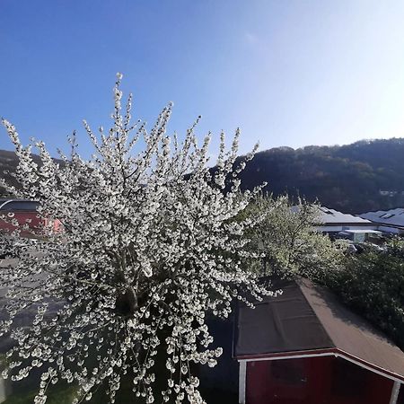 Ferienhaus Heimbach Εξωτερικό φωτογραφία