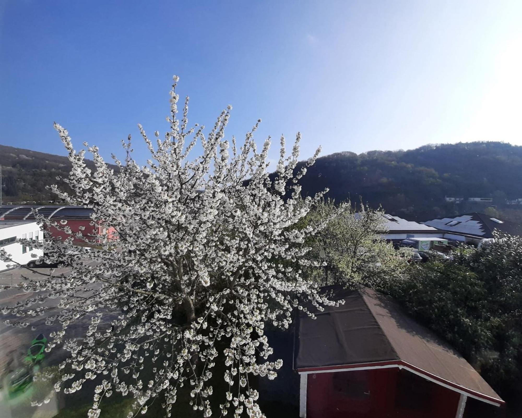 Ferienhaus Heimbach Εξωτερικό φωτογραφία